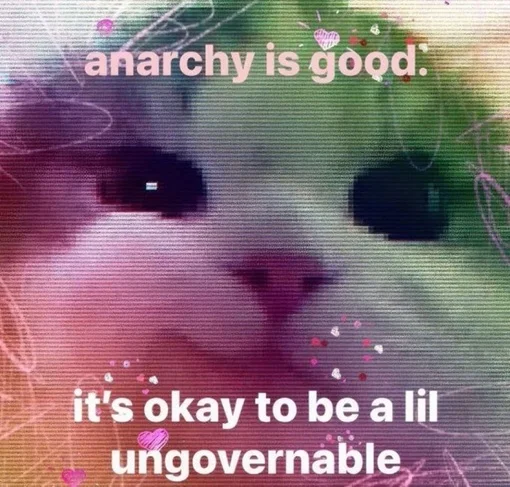 cat anarchy.webp