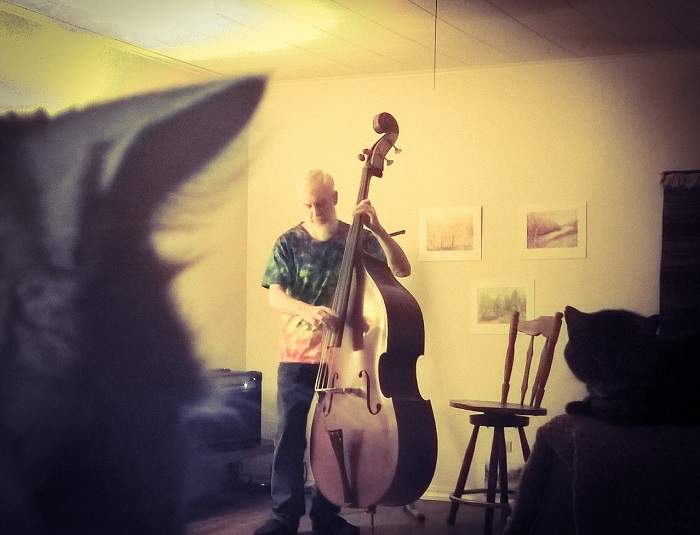 Cat Audience (small).jpg