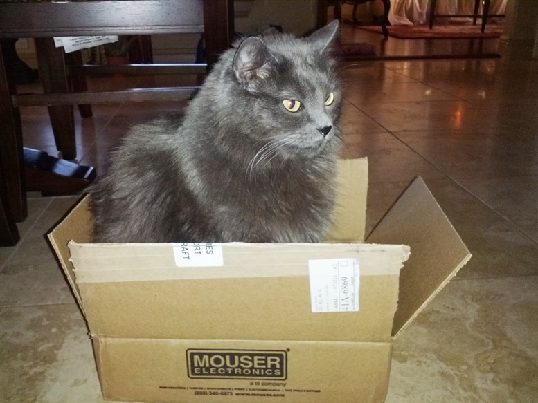 cat box.jpg