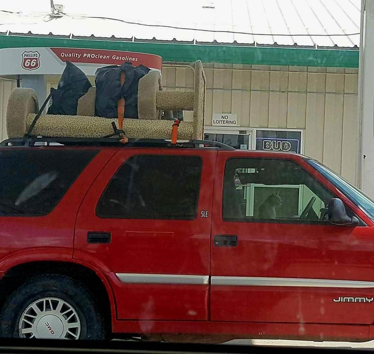 cat-car-solo.jpg
