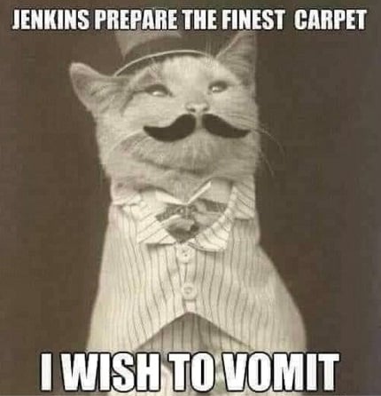 cat carpet.jpg