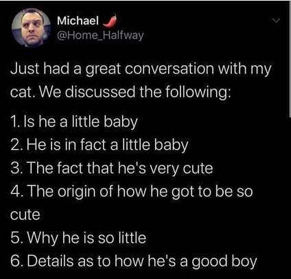 cat convo.jpg