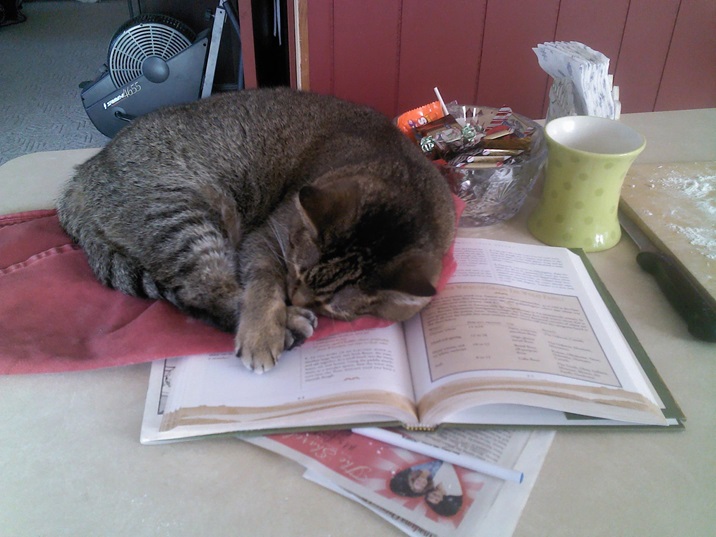 cat cookbook.jpg