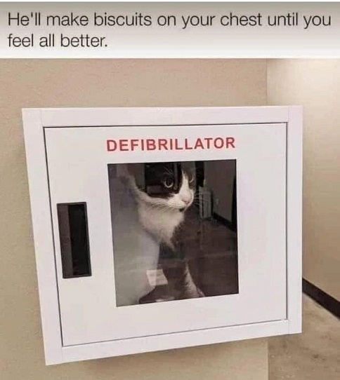 cat defib.jpg