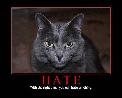Cat-Hate.jpg