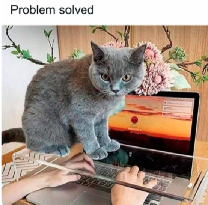 cat laptop.png