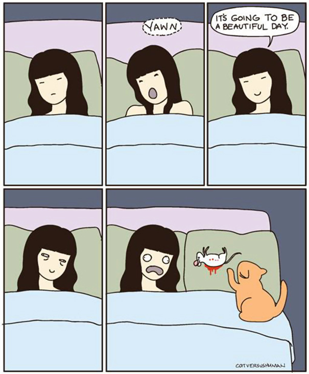 cat-logic-funny-59__605-1041475676.jpeg