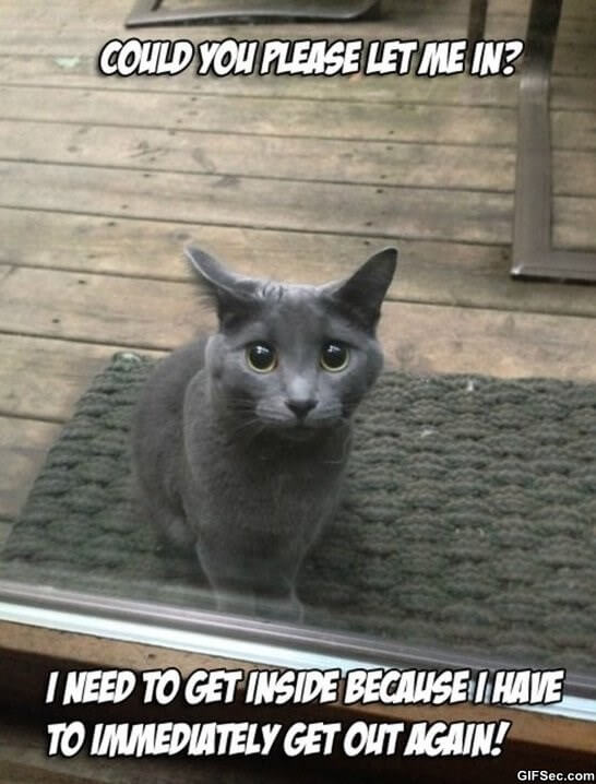 cat-logic-memes-11-1-3954405553.jpeg
