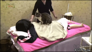 Cat-masseuse.gif