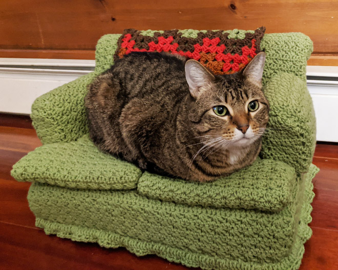 cat minicouch.jpg