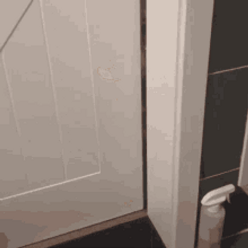 cat-open-door-fa1lokeohzc9vx5m.gif