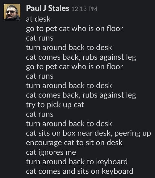 cat poem.jpg