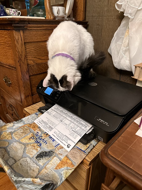 cat printer.jpg
