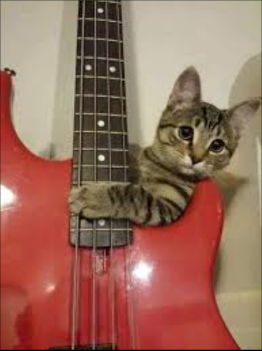 Cat Red Bass.png