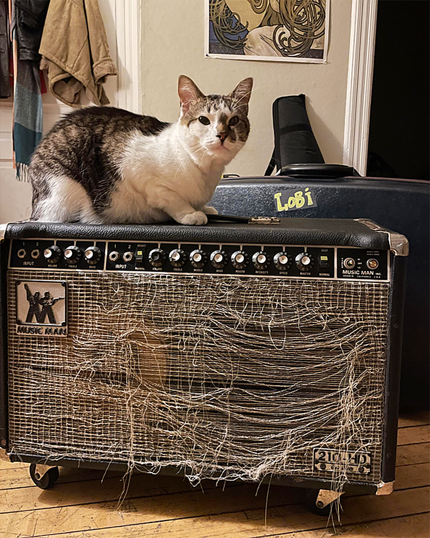 Cat scratch amp.jpg