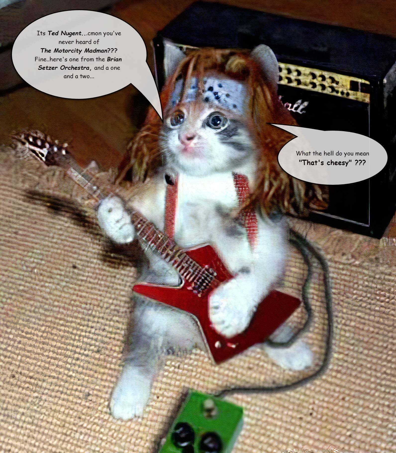 cat-scratch-fevered.jpg