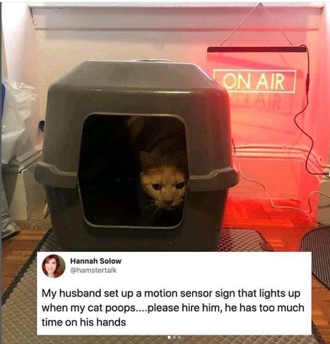cat sensor.jpg