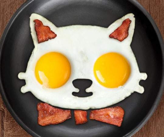 cat-shaped-egg-mold.jpg