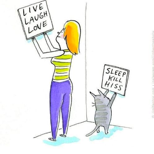 cat-signs-jpg.5209574