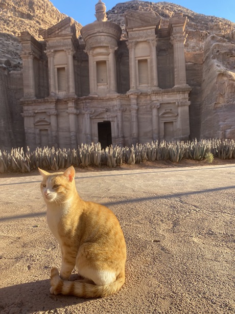 cat temple.jpg