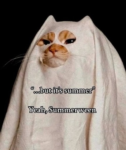 cat ween.jpg