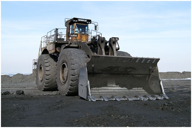 cat994_1.jpg