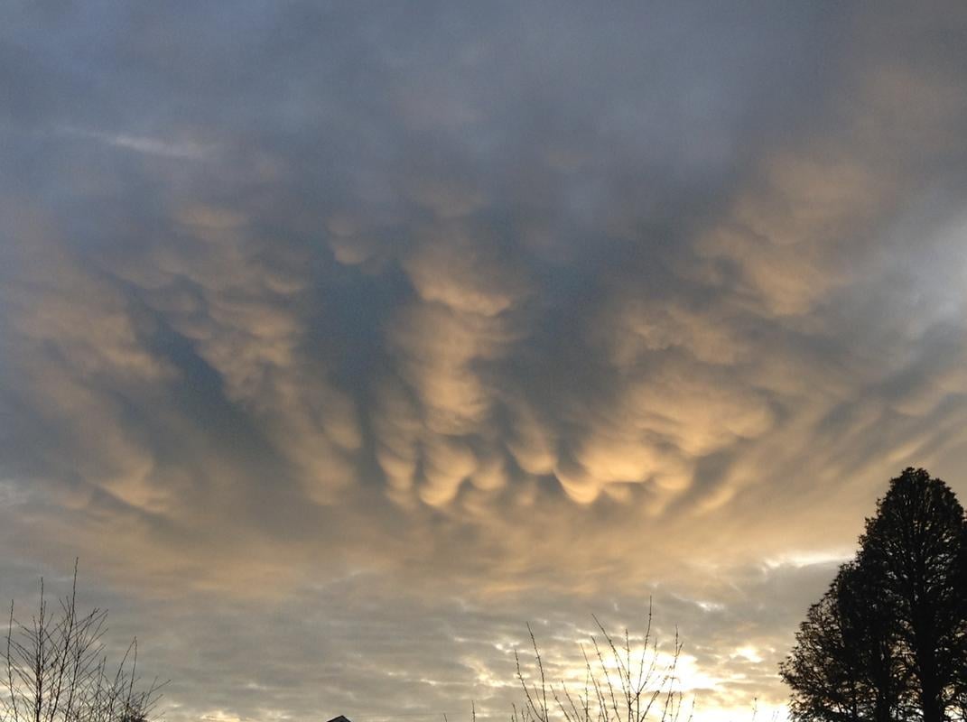Cat_Cloud_Sunrise.jpg