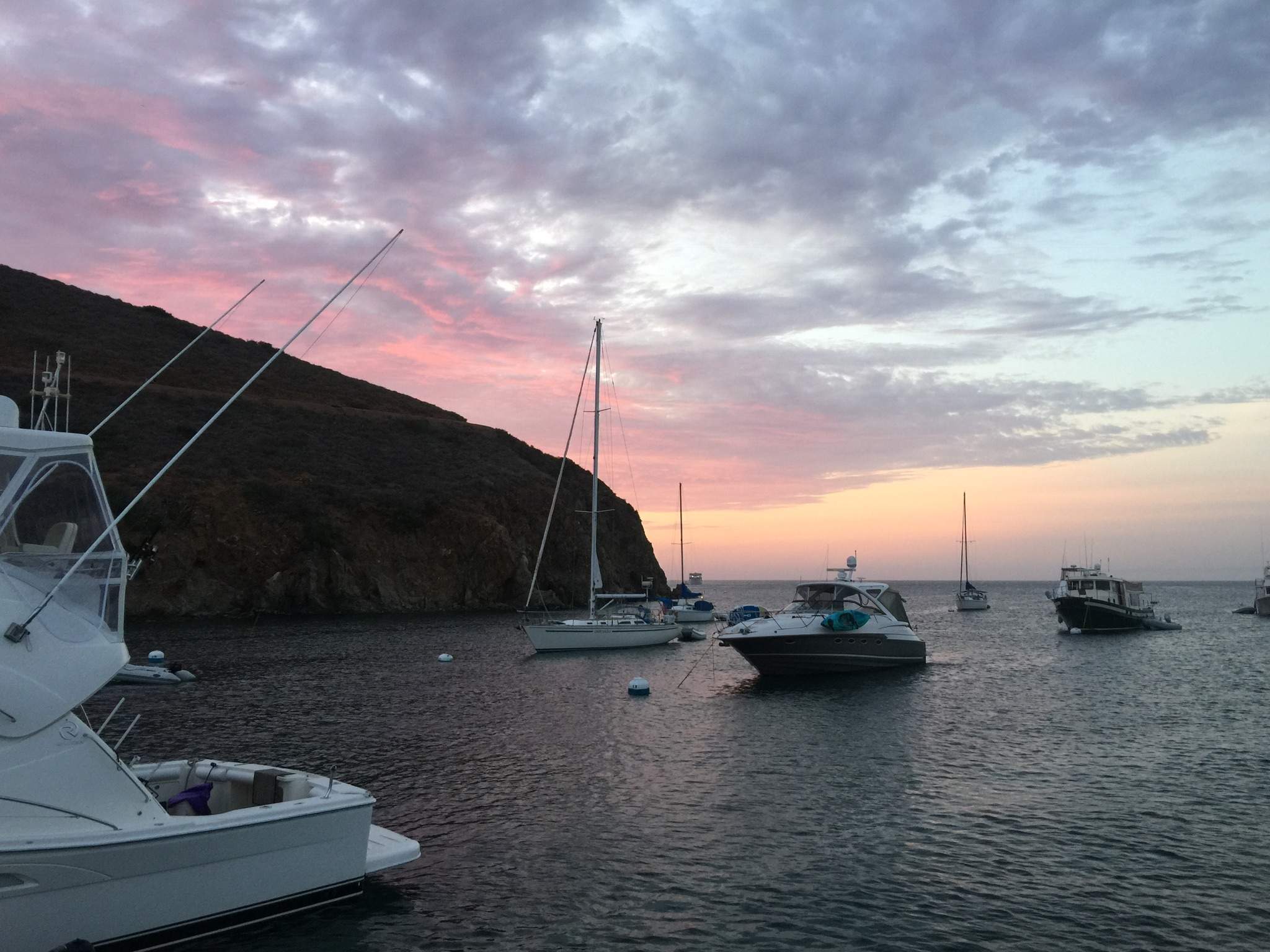 CATALINA SUNSET.jpeg