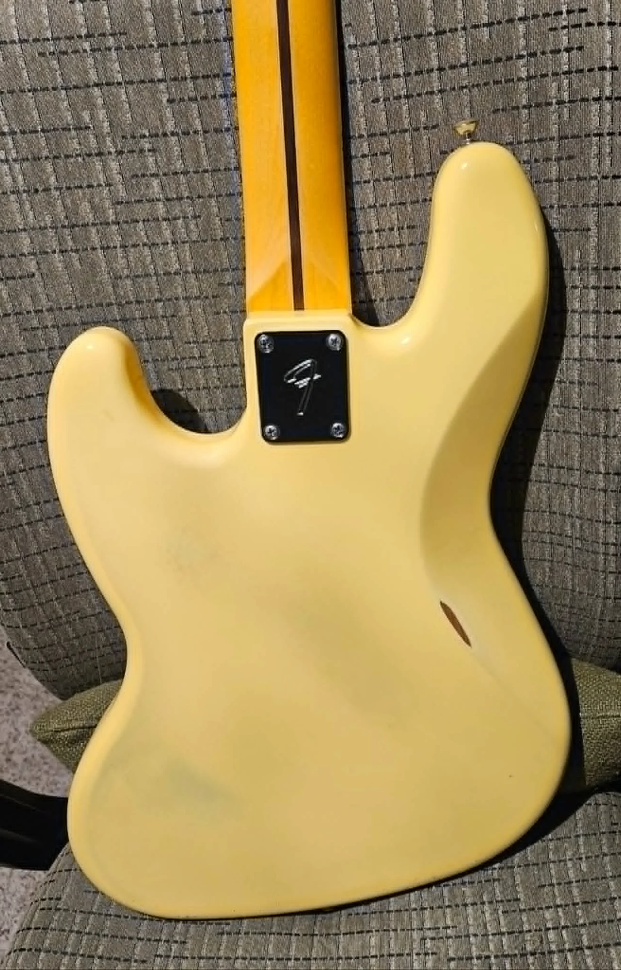 catbass back.webp