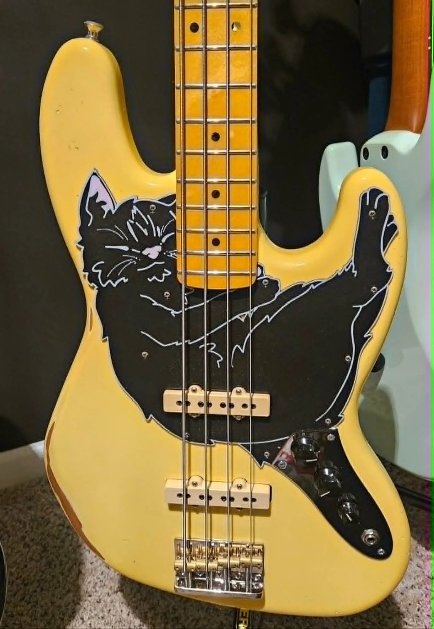 catbass front.webp