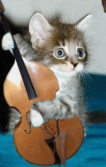 catBass.png