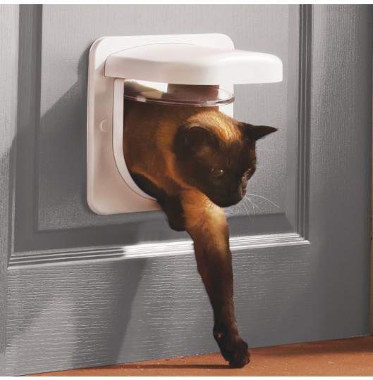 CatFlap.jpg