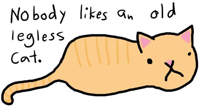 catlegless.jpg