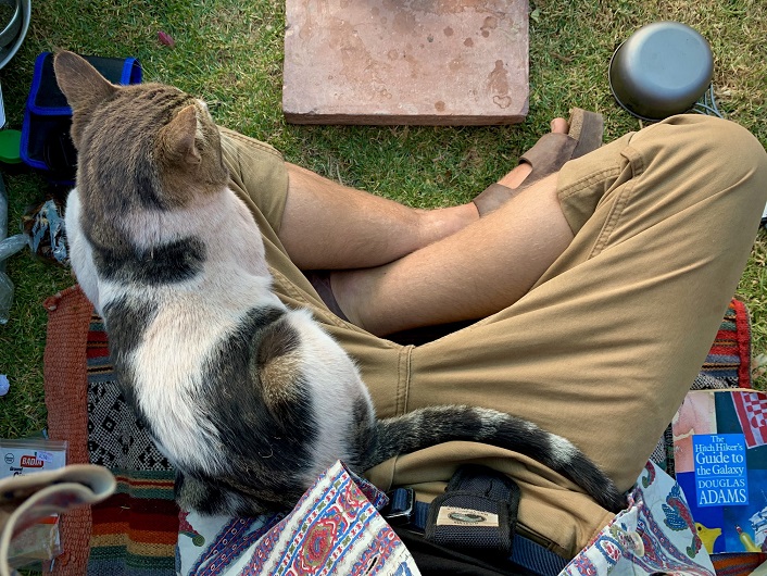 catnic.jpg