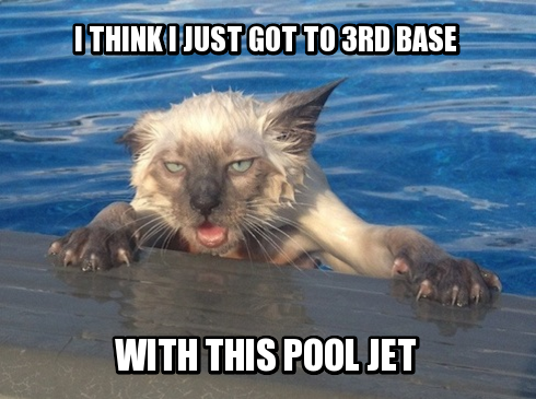 Catpool.png