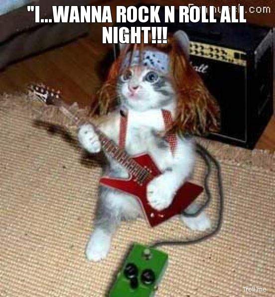 catRocknroll.jpg