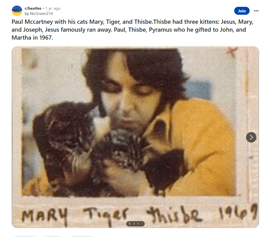 cats-3936002831.PNG