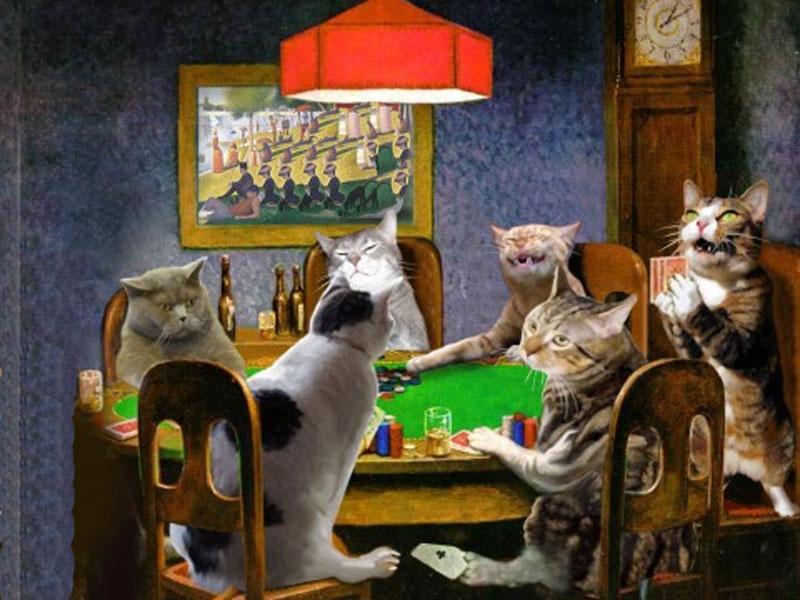 cats.jpg