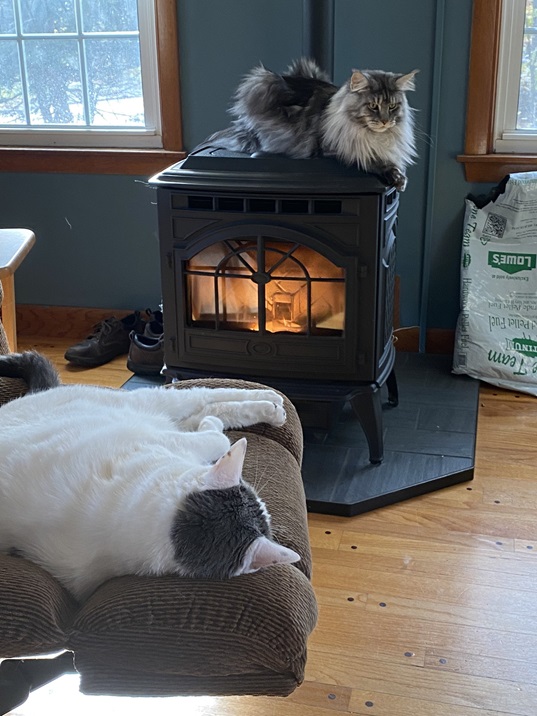 cats stove.jpg