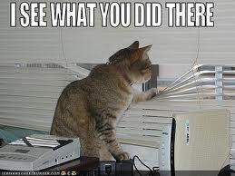 catsees.jpg