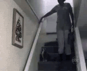 CatStaircase.gif