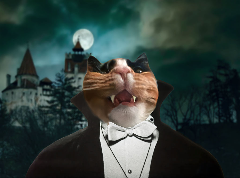 Catula.jpeg