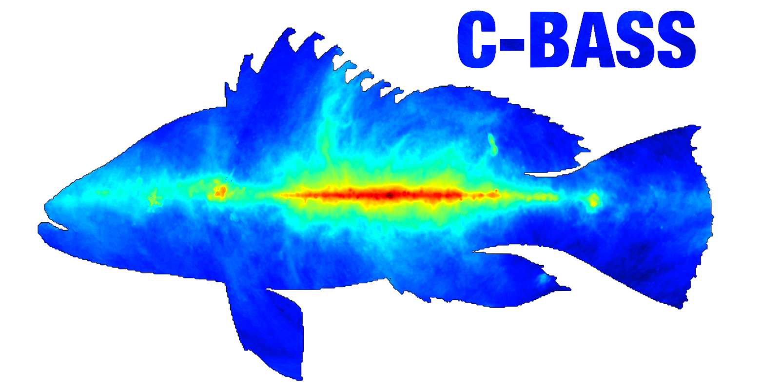 cbass_logo_v2.png