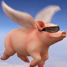 cBPGHa5T.jpg