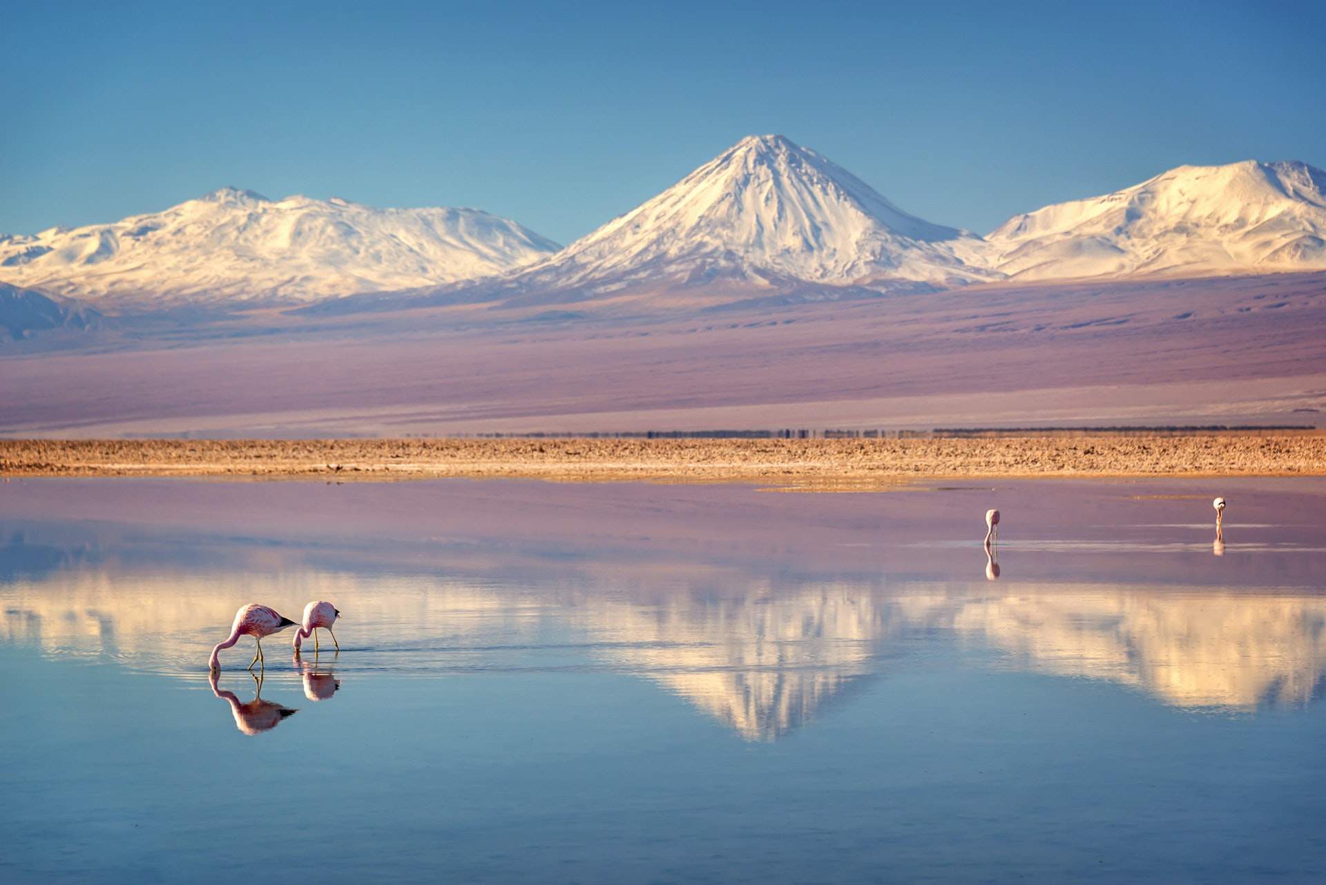 CC7F4E30-1E21-4779-A37F-B3B1A68588EE.jpeg