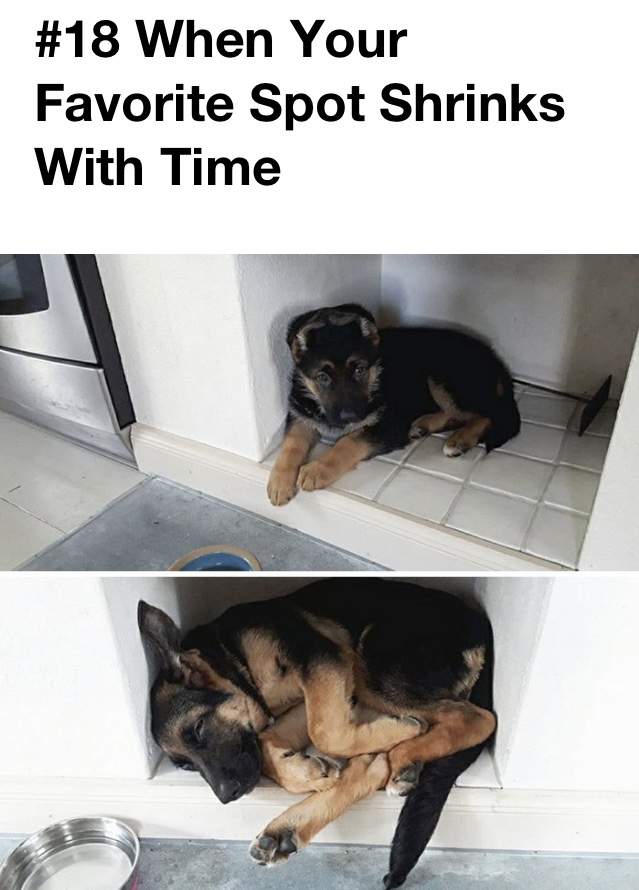 CDE0DBA3-02A4-4984-A9BF-9D0D9DC0265B.jpeg