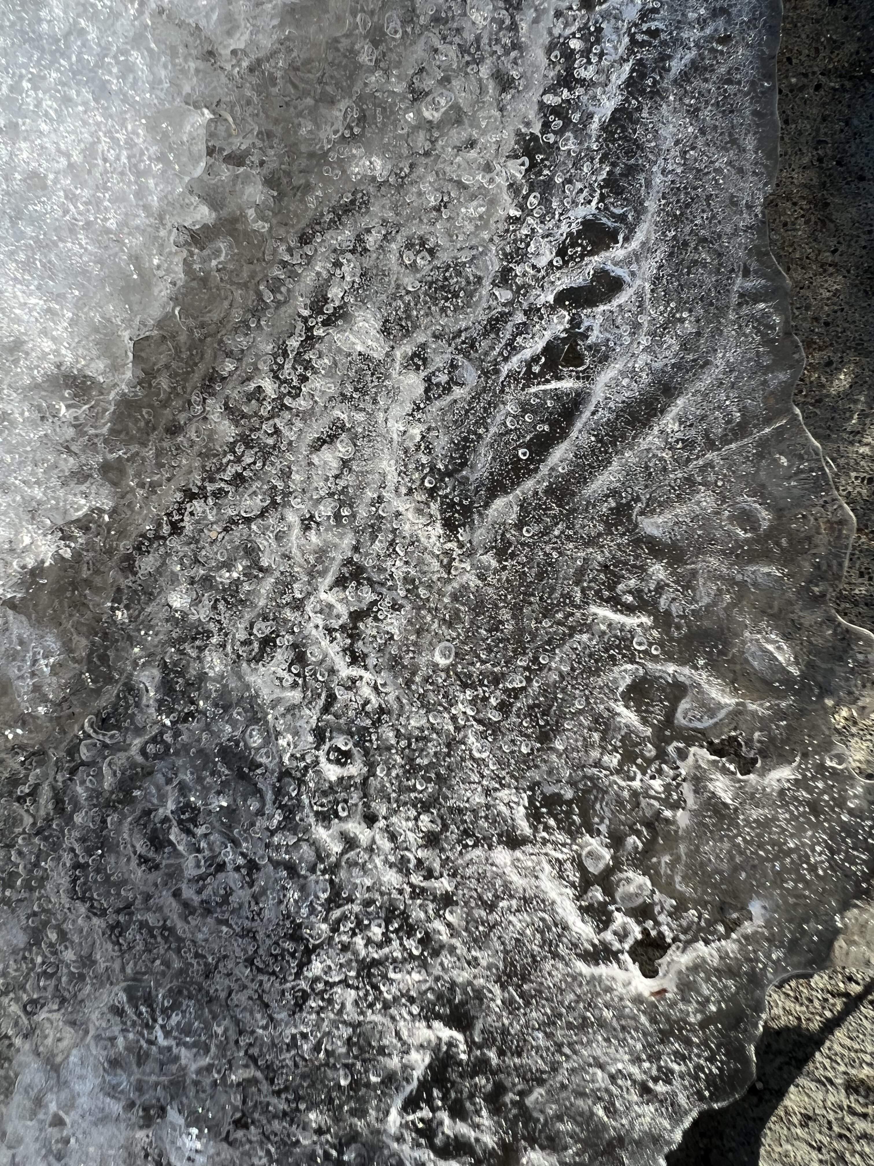 CEC8CD1D-E537-4033-B551-31DBAA9BB42A.jpeg