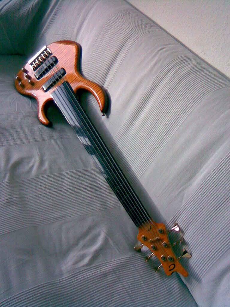 Celinder_18.jpg