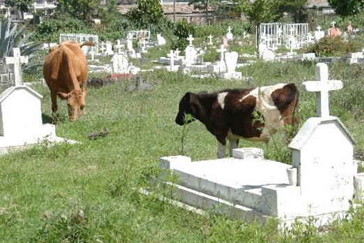 Cemetery_pix.jpg