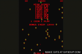 centipede-o.gif